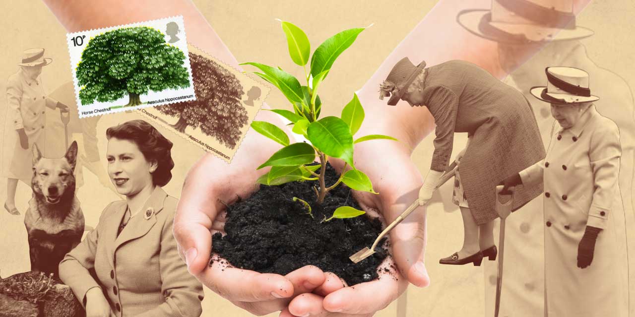 Queen Elizabeth II : A champion of environmental conservation